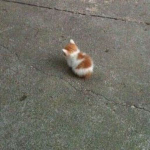 Meet your Posher, Dayana